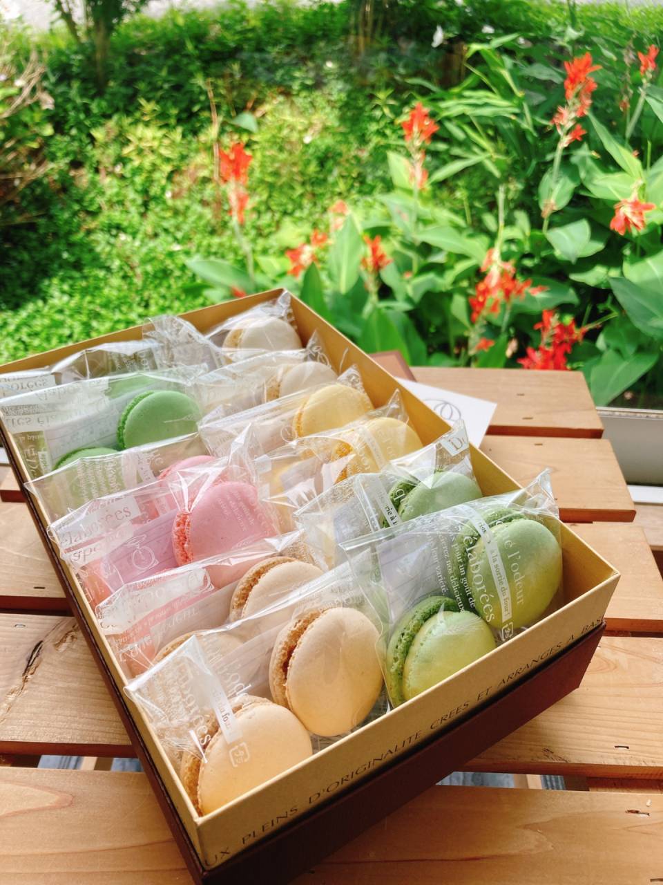 お中元セール始めました|菓子工房COCO